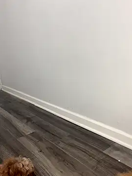 shantallroos online show from 11-28-25, 09:28