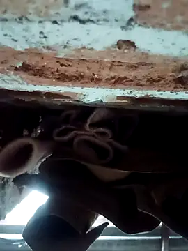 Snapshot of Rajni_chauhan chatting on 02-01-26, 04:27 Rajni chauhan online show from 02-01-26, 04:27