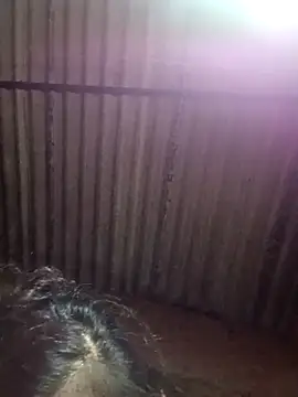 Snapshot of M-MAYA chatting on 12-02-25, 05:41 M-MAYA online show from 12-02-25, 05:41