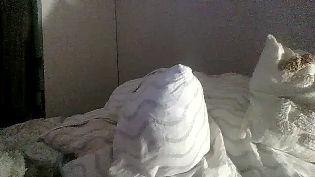 Snapshot of Lolaaa17740 chatting on 11-24-25, 11:37 Lolaaa17740 online show from 11-24-25, 11:37