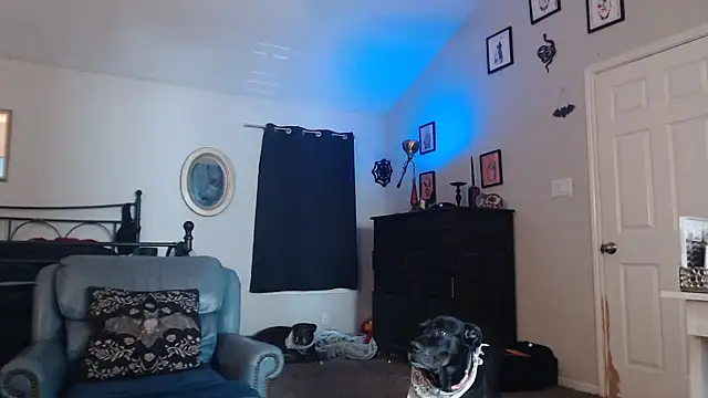 Snapshot of ImKatMeow chatting on 02-09-26, 05:17 ImKatMeow online show from 02-09-26, 05:17