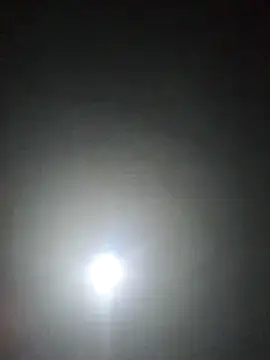 Orlao25cm online show from 05-16-26, 10:58