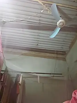 Squirrel-Pear online show from 11-19-25, 02:39