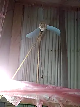 Squirrel-Pear online show from 12-04-25, 12:25