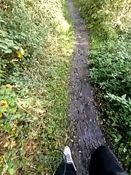 bbyxklaus online show from 11-02-25, 12:18