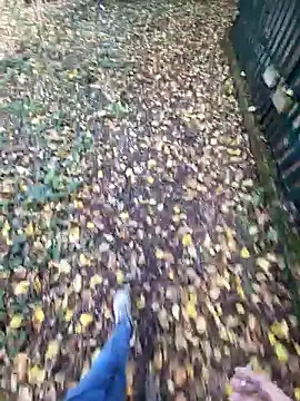 bbyxklaus online show from 11-04-25, 10:36