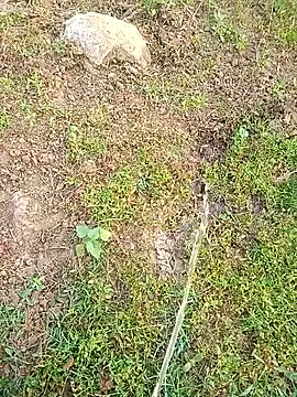 kumarstelugu online show from 01-16-26, 02:59