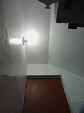 celeste 83 online show from 10-27-25, 04:22