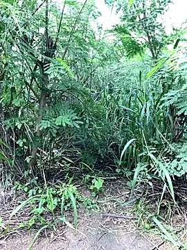 Snapshot of couplesexroom chatting on 11-19-25, 08:03 couplesexroom online show from 11-19-25, 08:03