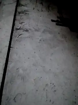 Snapshot of rickkis2k chatting on 12-13-25, 09:53 rickkis2k online show from 12-13-25, 09:53