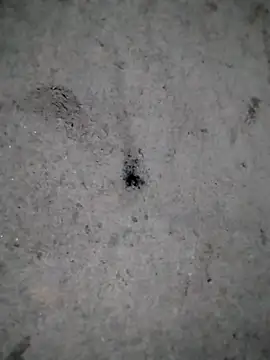 Snapshot of rickkis2k chatting on 12-21-25, 11:01 rickkis2k online show from 12-21-25, 11:01