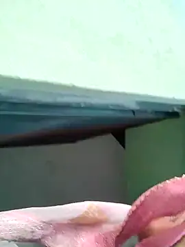 Snapshot of Bhumika_Love chatting on 11-11-25, 11:21 Bhumika Love online show from 11-11-25, 11:21