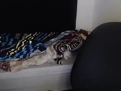 Negritatata online show from 11-28-25, 11:13