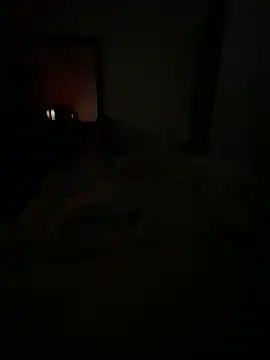 llllllllIIIll online show from 02-17-26, 04:42