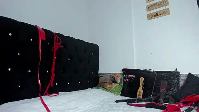 abby mullerr online show from 12-03-25, 09:57