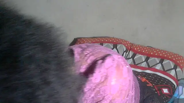 AdorableAfricanStar69 online show from 11-13-25, 10:30