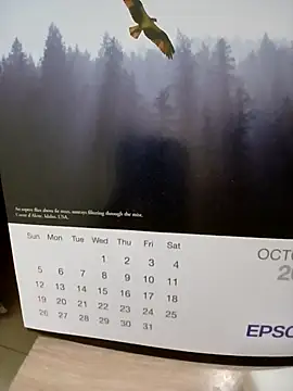 Snapshot of Kolkatacock06 chatting on 10-24-25, 02:02 Kolkatacock06 online show from 10-24-25, 02:02