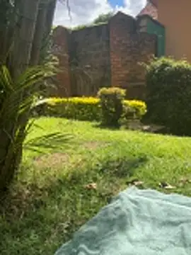 Snapshot of BubblesLovexox chatting on 04-01-26, 11:33 BubblesLovexox online show from 04-01-26, 11:33