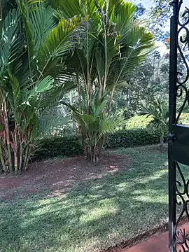 Snapshot of BubblesLovexox chatting on 04-04-26, 12:57 BubblesLovexox online show from 04-04-26, 12:57