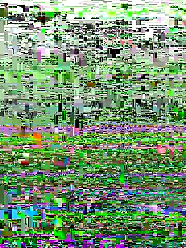 perfectguy4u online show from 10-28-25, 08:55