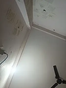 Snapshot of indoregigolo chatting on 10-29-25, 03:03 indoregigolo online show from 10-29-25, 03:03