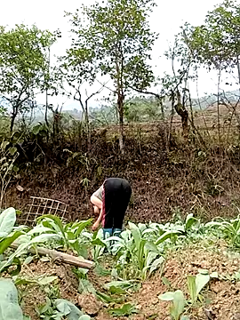 Snapshot of Noelle-e chatting on 04-07-26, 10:26 Noelle-e online show from 04-07-26, 10:26