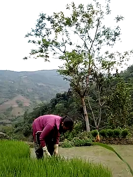 Snapshot of Noelle-e chatting on 04-11-26, 10:41 Noelle-e online show from 04-11-26, 10:41