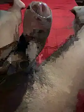 vijay20k online show from 03-03-26, 08:15