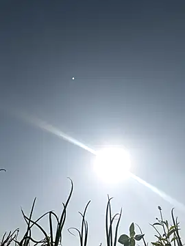 devil boy 0909 online show from 03-05-26, 03:46