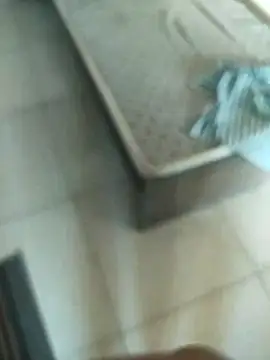 Telugus online show from 11-07-25, 07:08