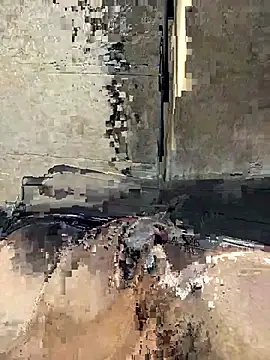 Telugus online show from 03-25-26, 03:51