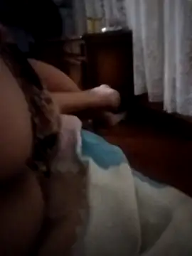 pampa4456 online show from 12-16-25, 05:23