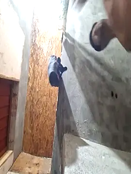 sanz957 online show from 11-14-25, 03:49