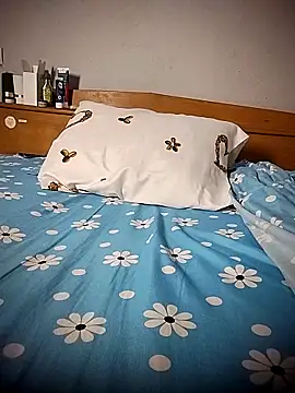 BD 228 online show from 04-09-26, 11:32