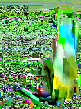 Snapshot of cchairez1188 chatting on 10-29-25, 09:38 cchairez1188 online show from 10-29-25, 09:38