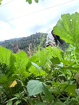 Snapshot of heodat-sexx chatting on 12-17-25, 09:48 heodat-sexx online show from 12-17-25, 09:48