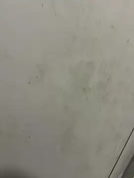 Snapshot of Isamperry69 chatting on 10-31-25, 04:02 Isamperry69 online show from 10-31-25, 04:02