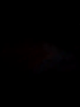 Pallu Asha online show from 02-18-26, 01:01