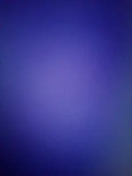 Pallu Asha online show from 03-16-26, 01:15