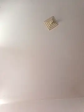 Snapshot of Ricardotarado chatting on 11-06-25, 01:01 Ricardotarado online show from 11-06-25, 01:01