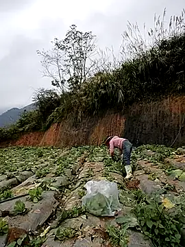 min nyny online show from 11-21-25, 01:26