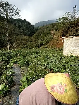 min nyny online show from 12-02-25, 01:22