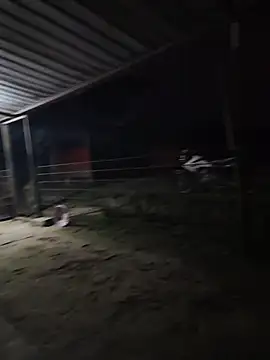 taylor1991V online show from 12-01-25, 11:43