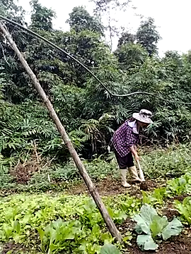 Snapshot of be-yeu chatting on 11-05-25, 02:22 be-yeu online show from 11-05-25, 02:22