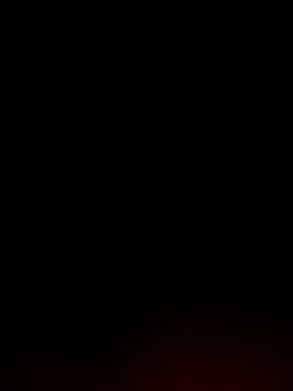 Tamil White Rose online show from 04-04-26, 08:28