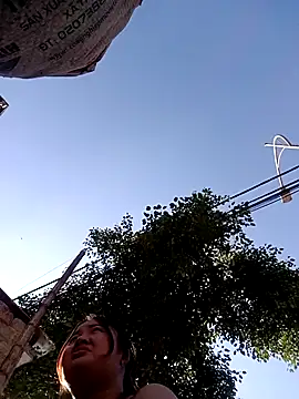 Bee-bgolden online show from 11-26-25, 07:31