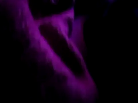 Snapshot of akram306 chatting on 11-14-25, 11:24 akram306 online show from 11-14-25, 11:24