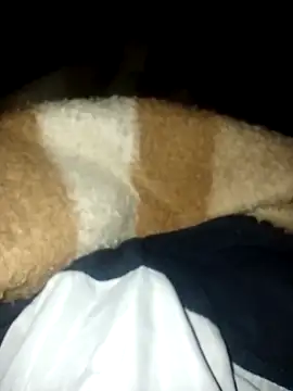 Azo3zgju online show from 11-23-25, 02:33