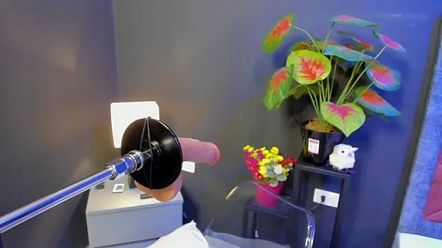 Snapshot of Amy_whittee chatting on 04-12-26, 03:44 Amy whittee online show from 04-12-26, 03:44