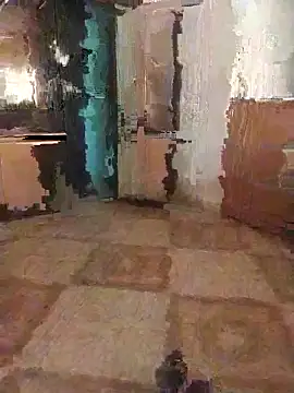 7obi 7obi online show from 11-21-25, 02:38